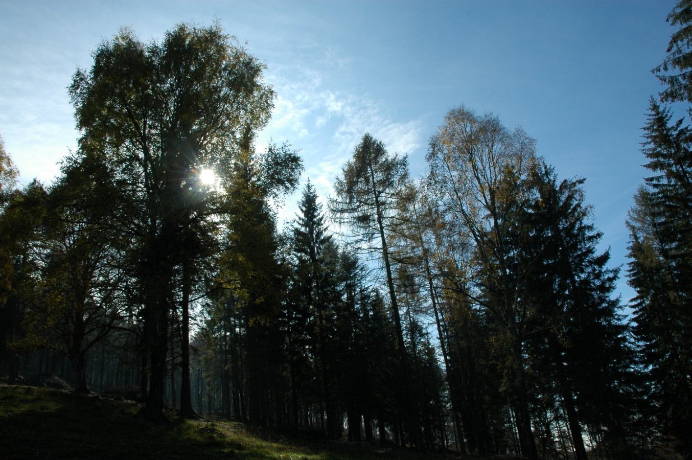 Parco Valentino al Monte Coltignone